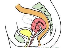 gjennomsnitt penis lengde våt vagina gjennomsnitt penis lengde våt vagina